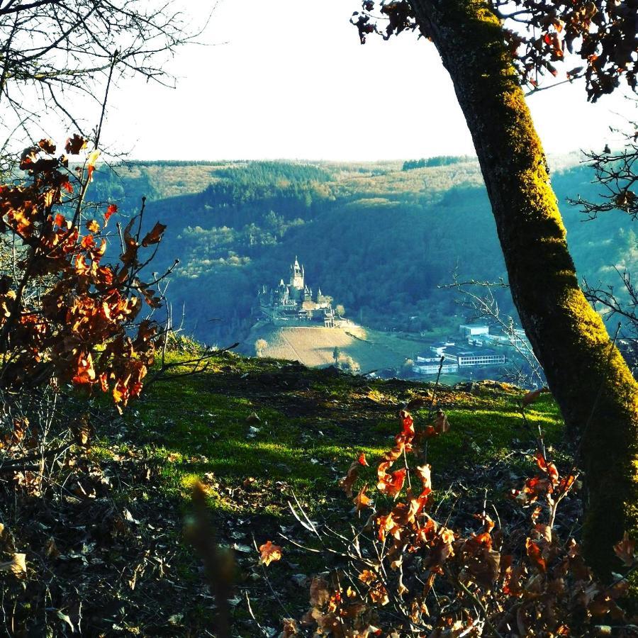 Ferienhaus Moselgruen Villa Cochem Exteriör bild